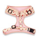 cute dog harness for boy and girls - best dog harness canada