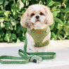 cute dog harness for boy and girls - best dog harness for walking