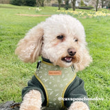 most comfortable dog harness - best dog harness for walking