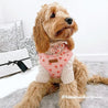 dog collar with flowers for wedding - girl dog collar accessories - girl dog collar with flower