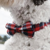 small dog collar with bow tie and leash set - dog bow tie collar with name - designer dog collars and leashes