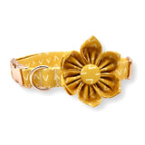 Yellow Arrow Signature Band™ + Slide-On Bloomtie™