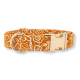personalized dog collars for boys and girls - best dog collars canada - puppy dog collars - waterproof dog collar