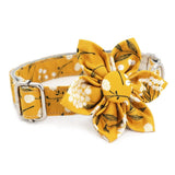girl dog collars