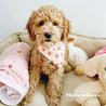 Cute Puppy Bandanas for Girls and Boys - Dog Bandanas Canada - Peach Pattern Bandana