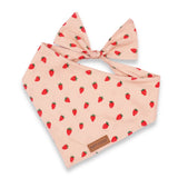 Best Dog Bandanas for Girls and Boys - Cute Puppy Bandanas - Dog Bandana Pattern - Strawberry Bandana