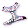 best dog harness for small dogs - most comfortable dog harness