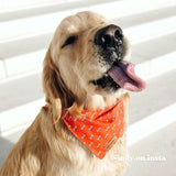 Bandanas for Dogs Girls and Boys - Best Dog Bandanas - Bone Pattern Bandana