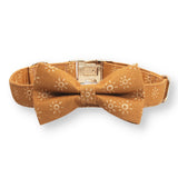designer dog collars for girls and boys - dog collar with name