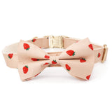 bow tie collar for dogs - customized dog collars and leash set 