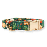 personalized dog collars - dog collar with name for boys and girls - best dog collars Canada
