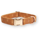 personalized dog collars for puppy - best dog collar for boys and girls canada - 