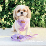 Daisy pattern leashes for dogs - dog leash canada - Floral leashes for puppy 
