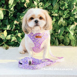 Daisy pattern leashes for dogs - dog leash canada - Floral leashes for puppy 