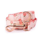 best dog leash canada - dog leash for walking - Peach pattern leashes for dogs