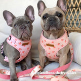 dog leash canada - dog leash for walking - peach pattern leash for dogs