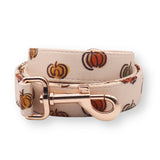 Pumpkin Joyline™ Leash – 100 % Cotton Shell