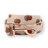 Pumpkin GlamGo™ + Joyline™ – Stroll Essentials Set