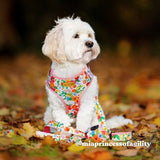 best dog harness canada - best dog harness for walking - best dog harness for medium dogs