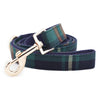 Plaid Pattern Leashes for Dogs - Best Leashes for Puppy