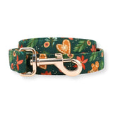 dog leash canada for boys and girls - dog leash for walking - Christmas Pattern Leashes for Dogs