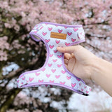  best dog harness for walking - Heart pattern harness for dogs boys and girls