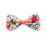 Bow Tie For Dogs Girls and Boys - Floral Bow Tie for Dogs - 