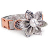 girl dog collar with flower for wedding with matching leash canada - dog flower collar with name