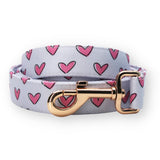 dog leash for walking - dog leash canada - Dog leash for Valentines