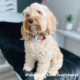girl dog collar with flower - designer dog flower collar - best fllower collar canada