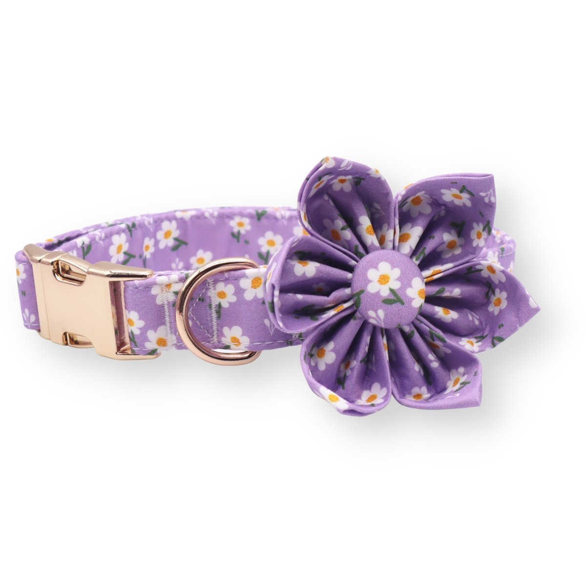 flower collar for dog wedding with matching leash - dog flower collar with name - dog flower collars and leash set for wedding - dog collars and leash canada