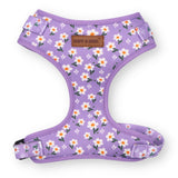 best dog harness canada - best escape proof dog harness