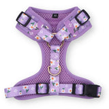 best dog harness for small dogs - best dog harness for walking