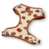 best dog harness for walking - best dog harness for medium dogs
