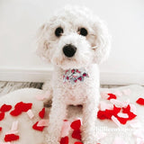 dog collars with bows and flowers - dog flower collar with name - flower collar for dog