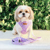 cute dog harnesses for girls and boy - best dog harness for walking