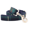 dog leash for walking - cute dog leashes canada - Plaid Pattern Leashes for Dogs