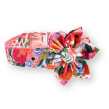 dog collar with flowers for wedding - cute collar and leash set - dog flower collar with name - dog collars and leash canada