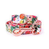dog leash material - leashes for dogs canada - best dog leash