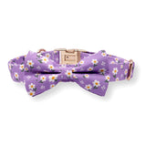 Purple Daisy Signature Band™ + Slide-On Dappertie™