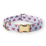 customized dog collars for boys and girls - best dog collar canada - cool dog collars