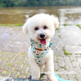 Dinosaur Mega Bundle - bundle - Sniff & Bark