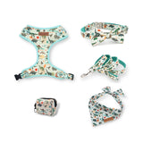 Dinosaur Mega Bundle - bundle - Sniff & Bark