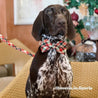 cute dog collars with bows - bow tie collar for dogs boys and girls 