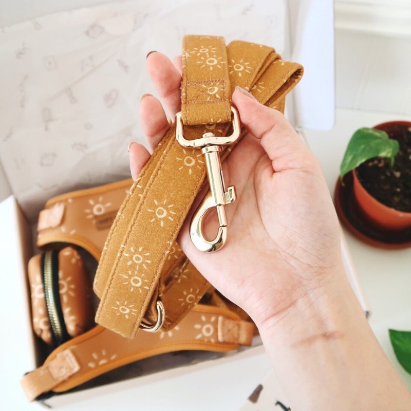 Louis Vuitton Dog Collar and Leash