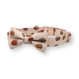cute dog collars girl and boys with bowtie - dog collar with name