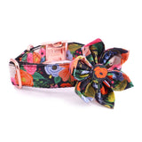 girl dog collar accessories - dog flower collar with name - flower collars canada