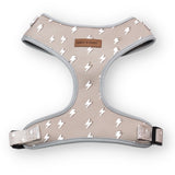 Lightnings Harness - harness - Sniff & Bark