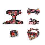 Midnight Floral Bow Mega Bundle - bundle - Sniff & Bark