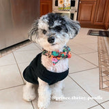 Midnight Floral Bowtie Collar & Leash Set - sets - Sniff & Bark